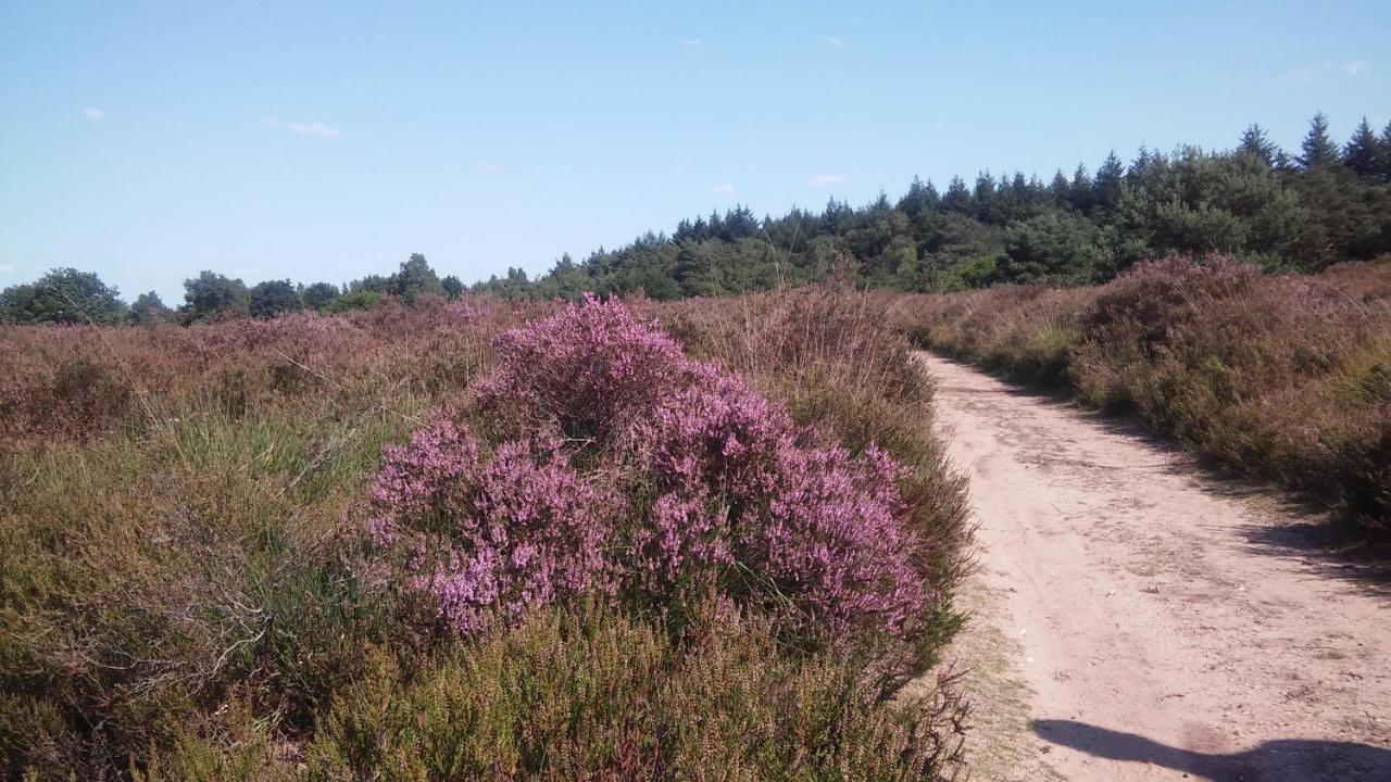 Poort Van De Veluwe Voorthuizen Εξωτερικό φωτογραφία